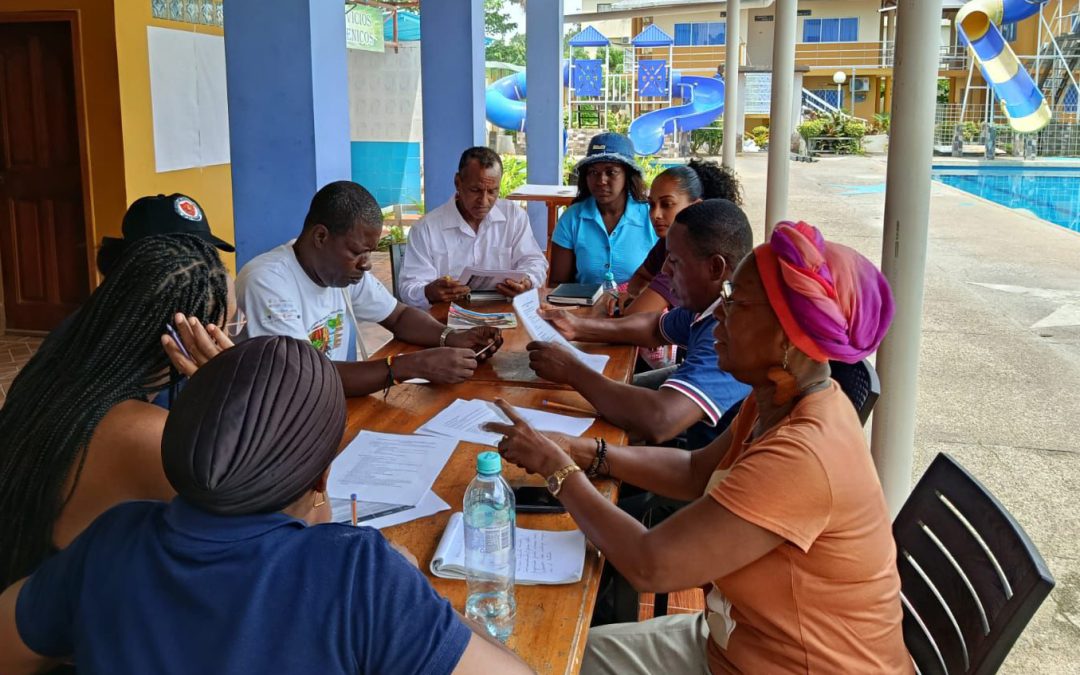 Pueblos Afrodescendientes en la Agenda REDD+ Jurisdiccional y los Mercados Voluntarios de Carbono en Ecuador 