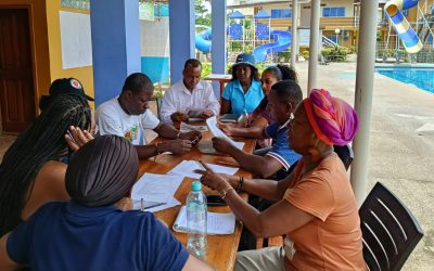 Pueblos Afrodescendientes en la Agenda REDD+ Jurisdiccional y los Mercados Voluntarios de Carbono en Ecuador