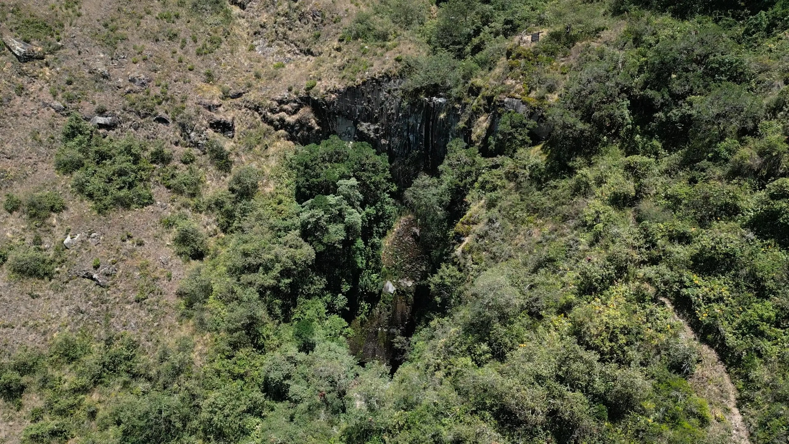 Vista aérea de una profunda grieta rocosa en la montaña que alberga un denso parche de bosque verde, rodeada de laderas secas.