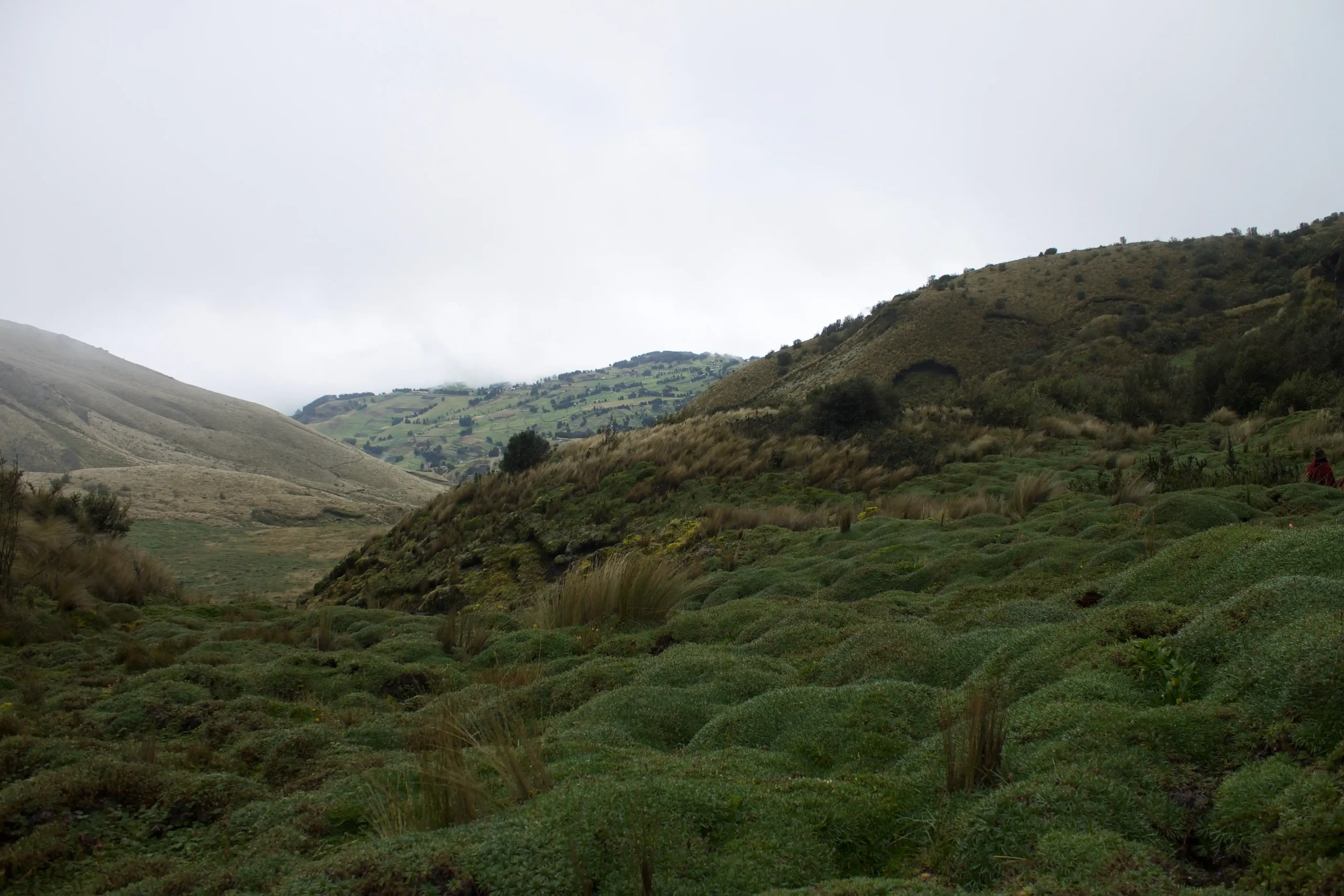 Paisaje del páramo andino cubierto de vegetación baja, pastos dorados y densa niebla, con laderas agrícolas y pueblos lejanos bajo un cielo nublado.