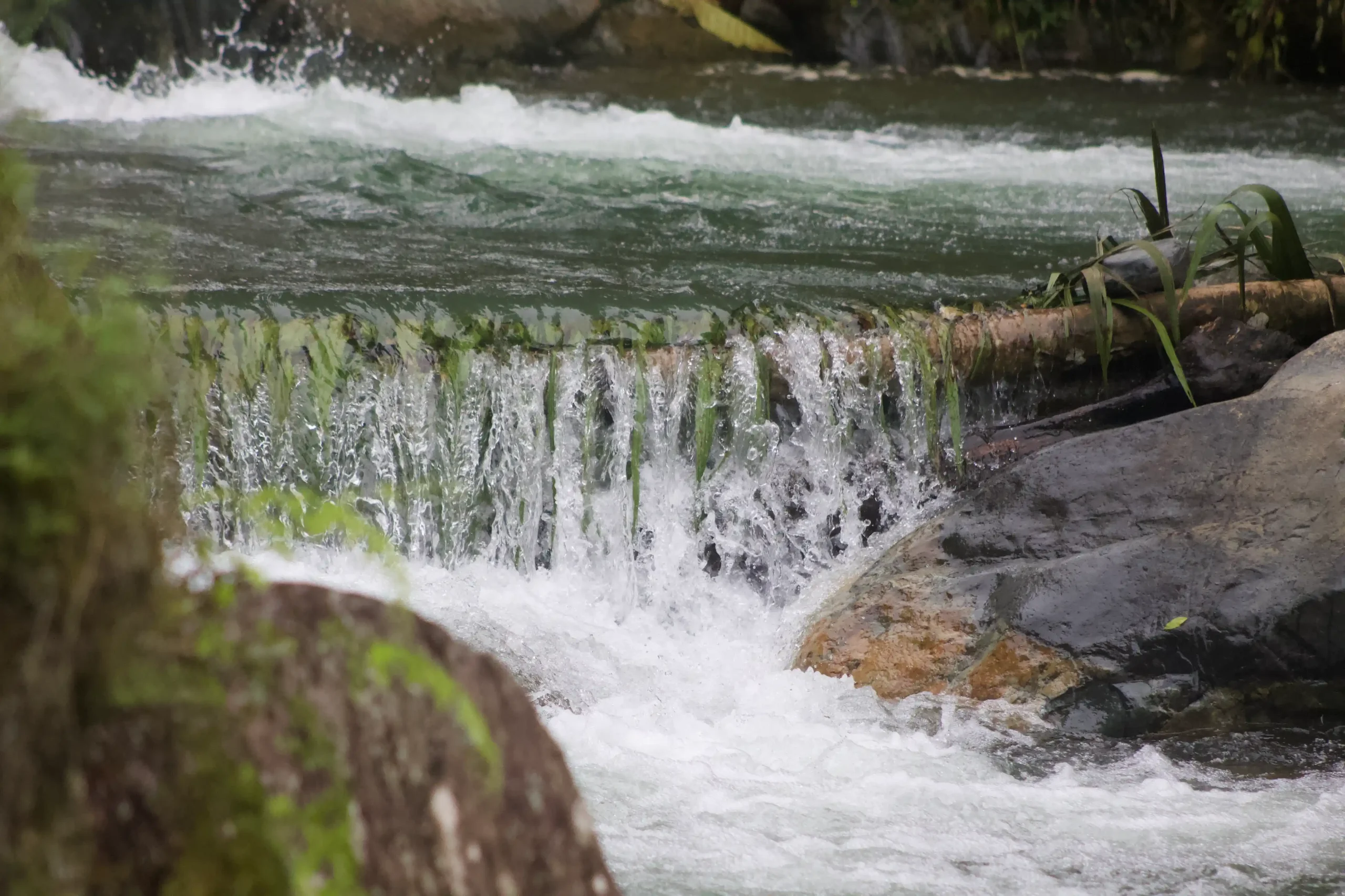 Pequeña cascada de agua dulce fluyendo sobre un tronco y grandes rocas rodeadas de vegetación en un río de un área protegida.