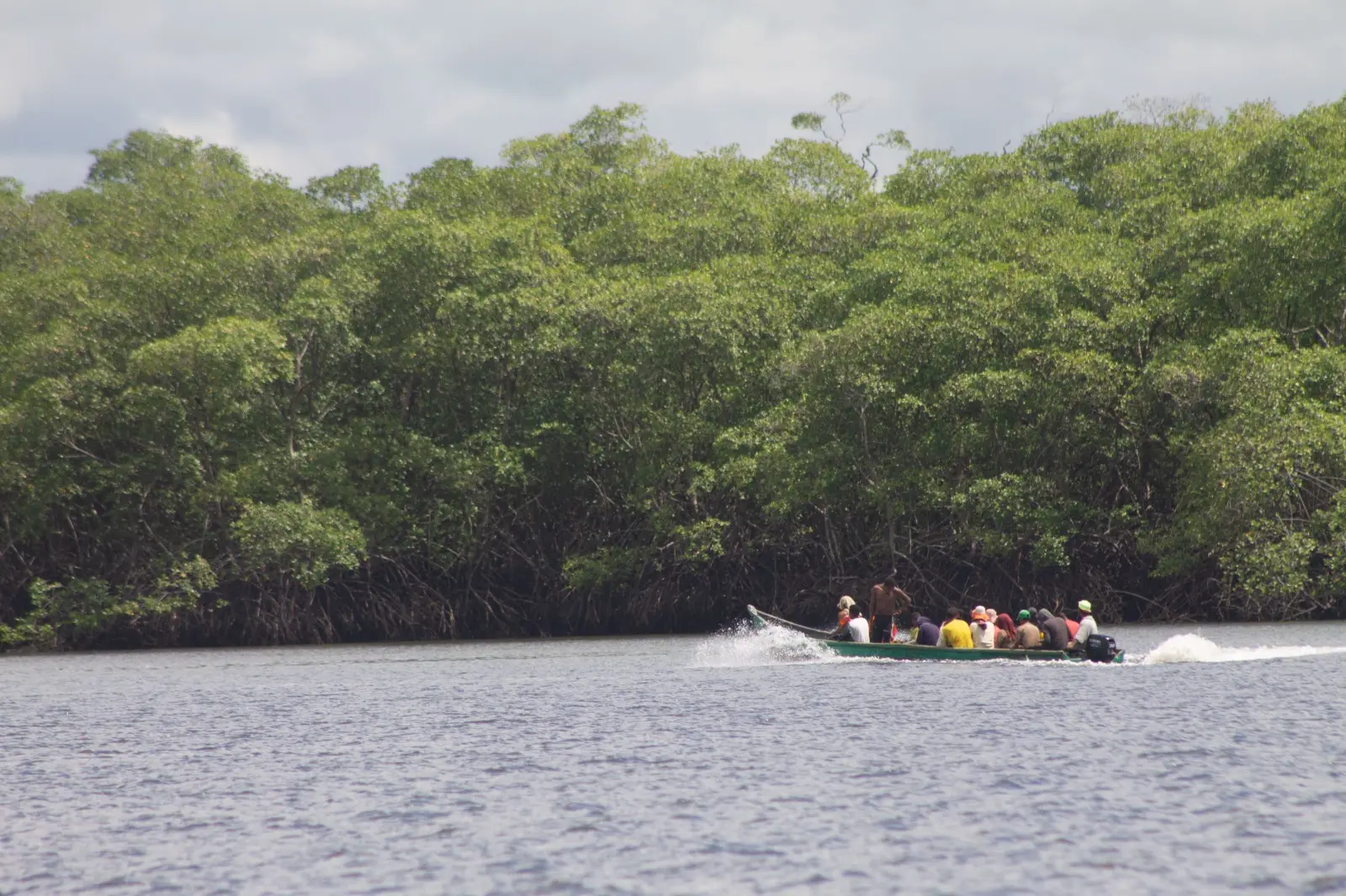 Bote a motor transportando a un grupo diverso de miembros de la comunidad navegando por un río bordeado de densos manglares.