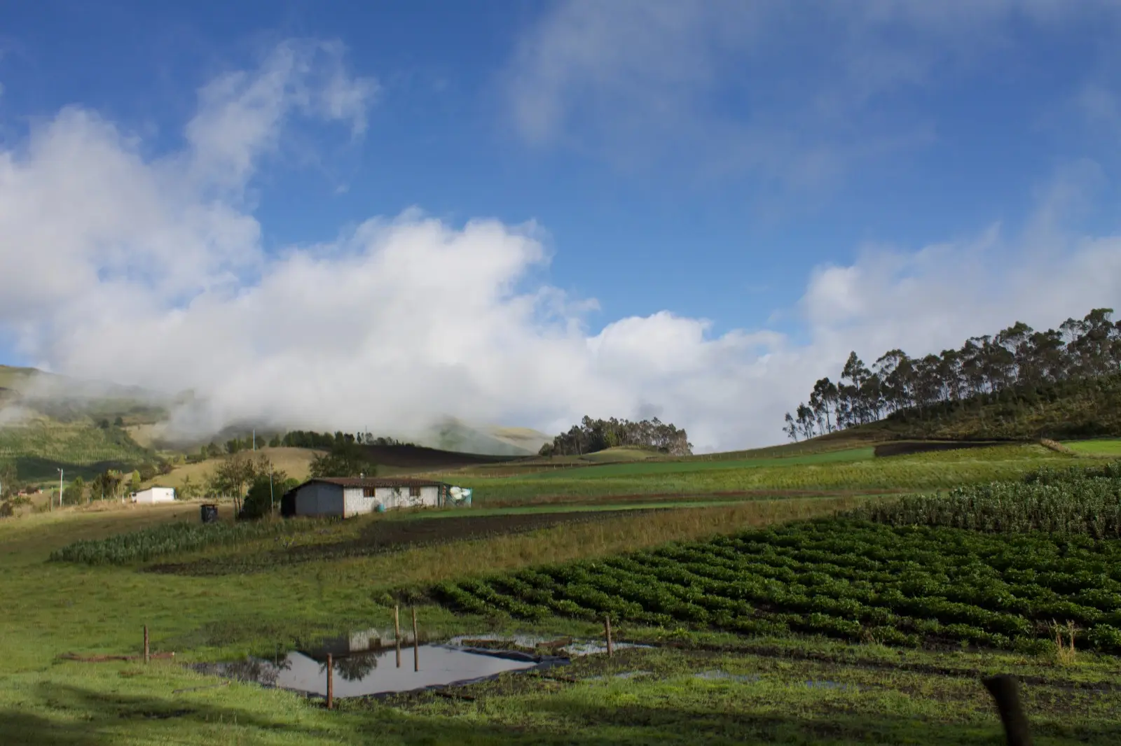 Paisaje rural con campos de cultivo en hileras, un reservorio de agua, una casa agrícola y laderas arboladas parcialmente cubiertas de niebla bajo un cielo azul.